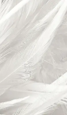 Modern roller blind feathers pattern