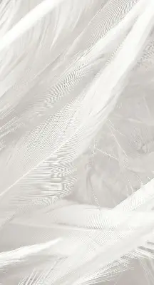 Modern roller blind feathers pattern