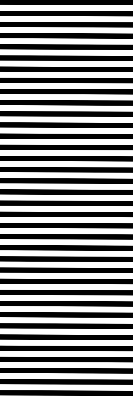 Modern roller blind Black stripes