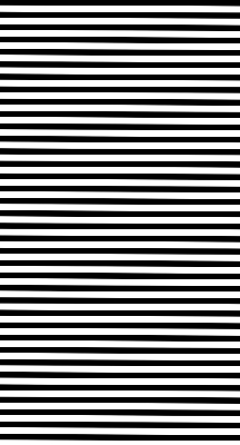 Modern roller blind Black stripes