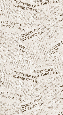 Roller blind for large window Newspapers