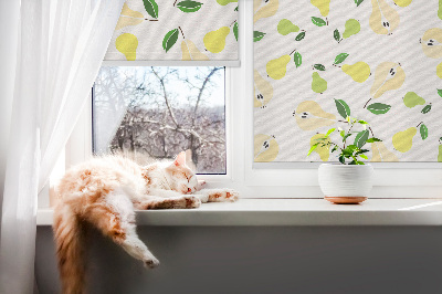 Roller blind for large window Pears
