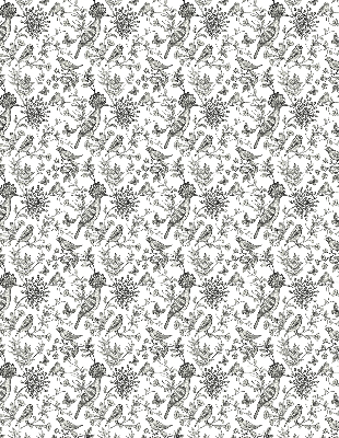 Fabric roller blind Drawn birds and plants