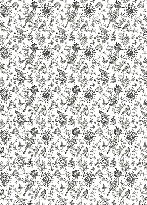 Fabric roller blind Drawn birds and plants