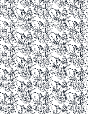 Modern roller blind Drawn flowers