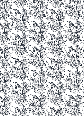 Modern roller blind Drawn flowers