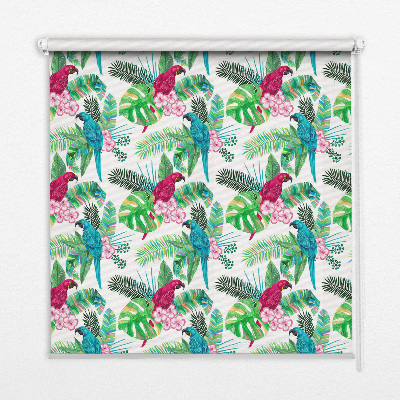 Roller blind for large window parrots print