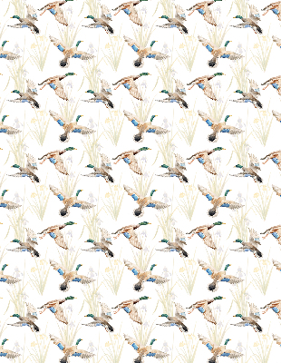Fabric roller blind Flying ducks