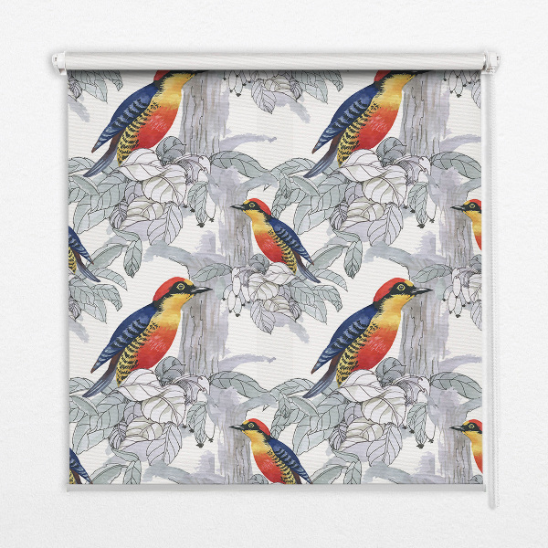 Roller blind for large window Colorful bird