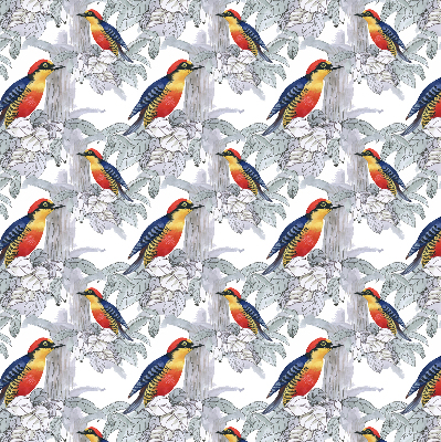 Roller blind for large window Colorful bird
