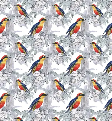 Roller blind for large window colorful bird print