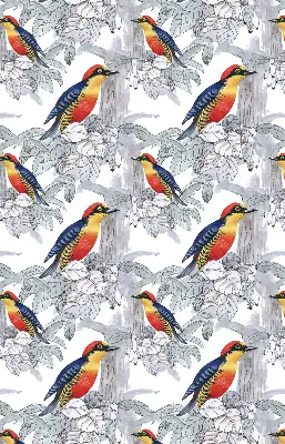 Roller blind for large window colorful bird print