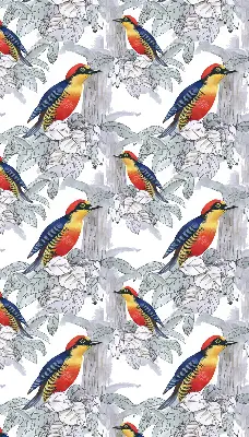 Roller blind for large window colorful bird print