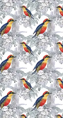 Roller blind for large window colorful bird print
