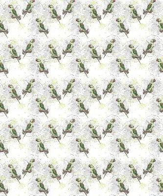 Roller blind for large window with parrots on a branch print