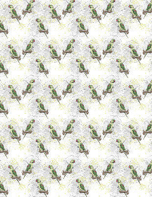 Roller blind for large window Parrots on a branch