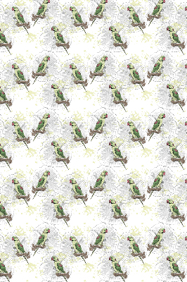 Roller blind for large window Parrots on a branch