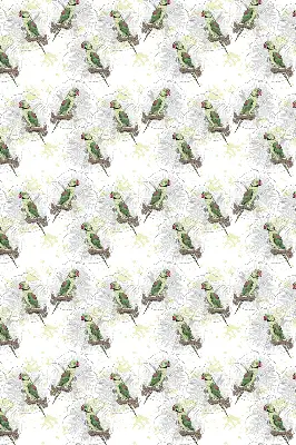 Roller blind for large window with parrots on a branch print