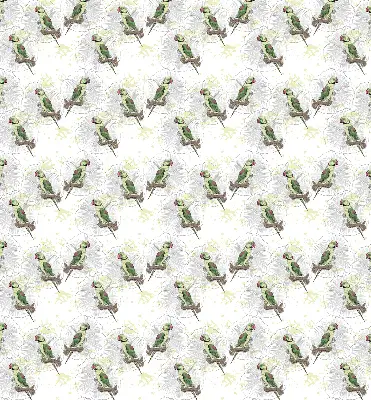 Roller blind for large window with parrots on a branch print
