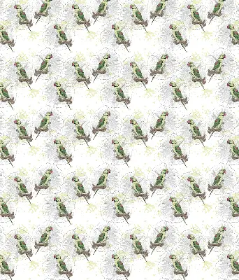 Roller blind for large window with parrots on a branch print