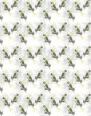 Roller blind for large window Parrots on a branch