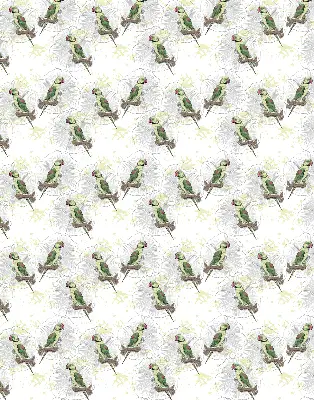 Roller blind for large window with parrots on a branch print