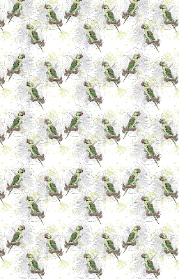 Roller blind for large window Parrots on a branch