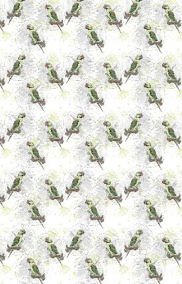 Roller blind for large window with parrots on a branch print