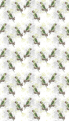 Roller blind for large window Parrots on a branch