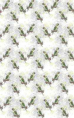 Roller blind for large window Parrots on a branch