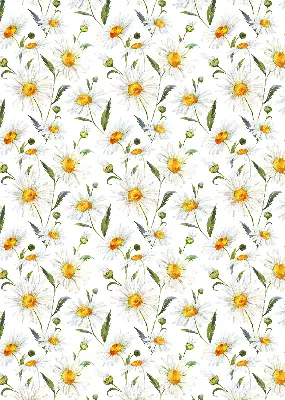 Modern roller blind patterned with daisies
