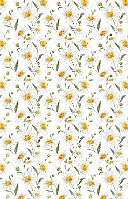 Modern roller blind patterned with daisies