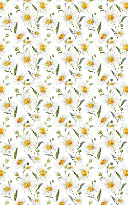 Modern roller blind patterned with daisies