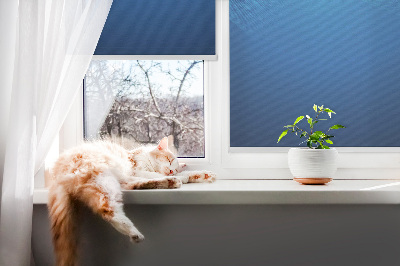 Modern roller blind Blue animation
