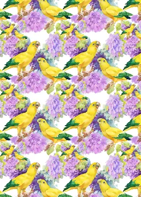 Roller blind for large window with yellow parrots pattern