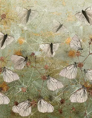 Roller blind for large window butterflies in the meadow pattern