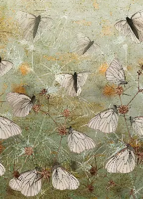 Roller blind for large window butterflies in the meadow pattern