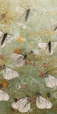 Roller blind for large window butterflies in the meadow pattern