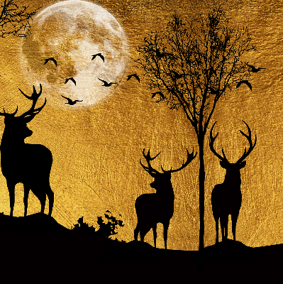 Modern roller blind Deer at night