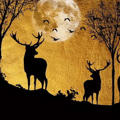 Modern roller blind deer at night design