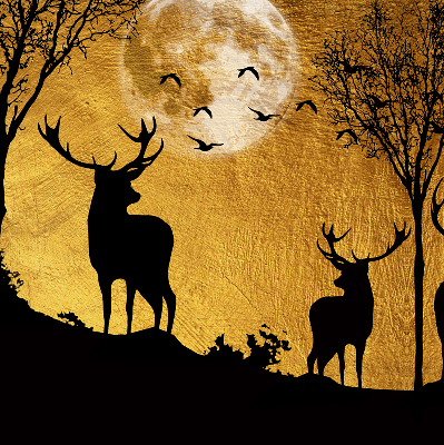 Modern roller blind Deer at night