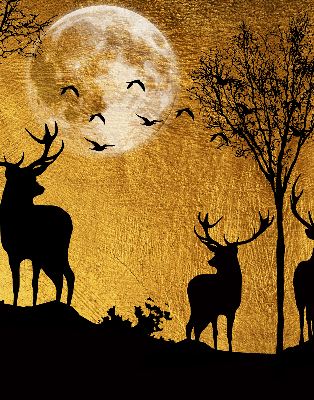 Modern roller blind Deer at night