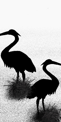 Fabric roller blind Herons