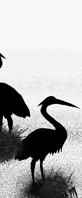 Fabric roller blind Herons