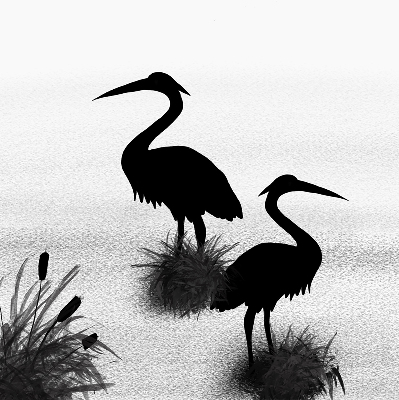 Fabric roller blind Herons