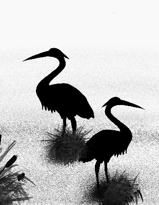 Fabric roller blind Herons