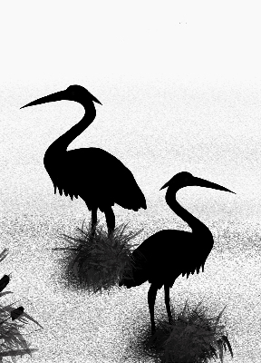 Fabric roller blind Herons