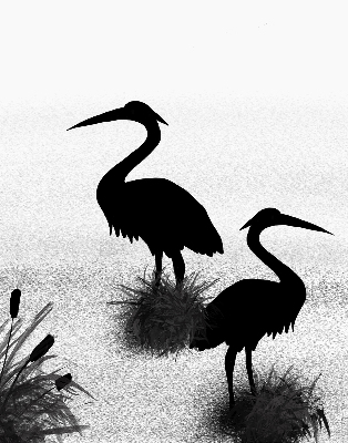 Fabric roller blind Herons