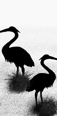 Fabric roller blind Herons