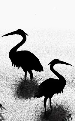 Fabric roller blind herons pattern